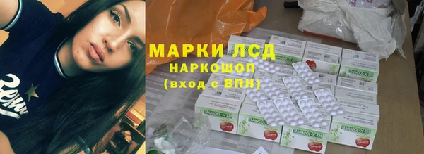 PSILOCYBIN Каменногорск