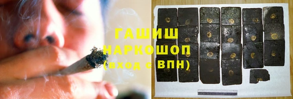 крисы Каменка