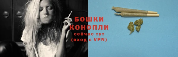 крисы Каменка