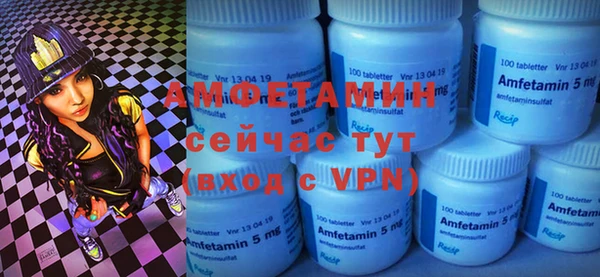 крисы Каменка