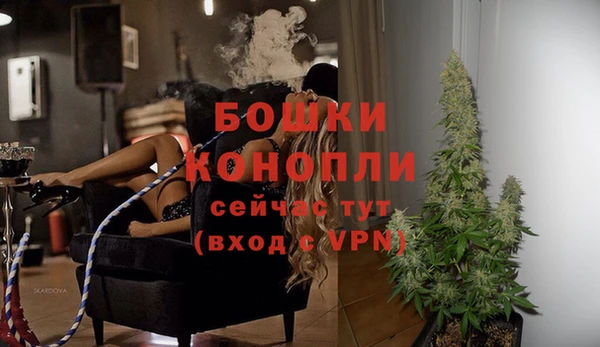 крисы Каменка