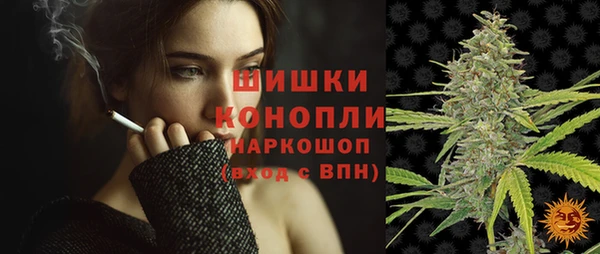 крисы Каменка