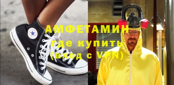 крисы Каменка