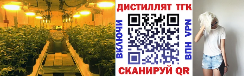 Дистиллят ТГК гашишное масло Балтийск
